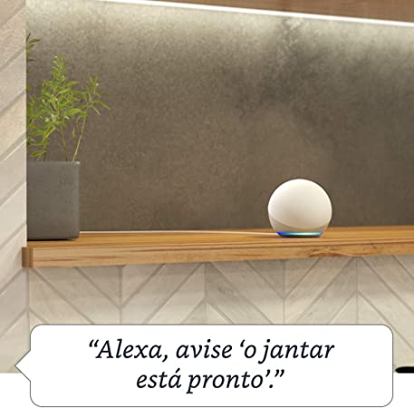 echo_dot_4